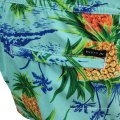 Hawaii Board Shorts Swim Trunks Teen Beach Shorts